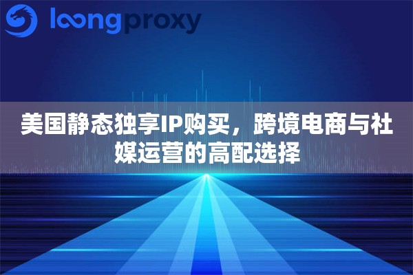 美国静态独享IP购买，跨境电商与社媒运营的高配选择