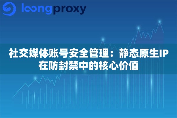 社交媒体账号安全管理：静态原生IP在防封禁中的核心价值