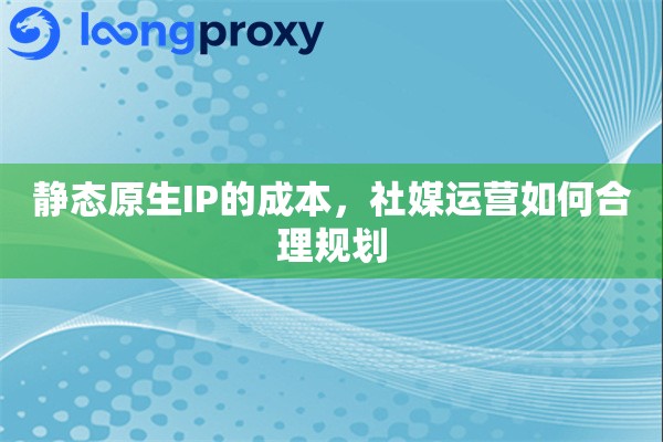 静态原生IP的成本，社媒运营如何合理规划