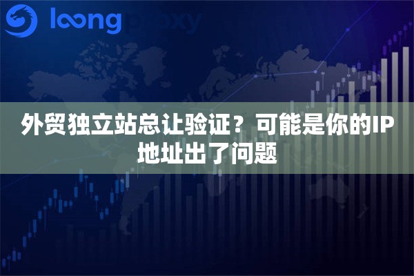 外贸独立站总让验证？可能是你的IP地址出了问题