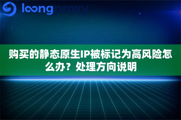 购买的静态原生IP被标记为高风险怎么办？处理方向说明