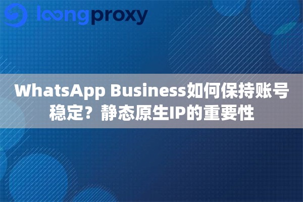 WhatsApp Business如何保持账号稳定？静态原生IP的重要性