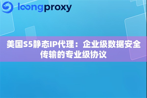 美国S5静态IP代理：企业级数据安全传输的专业级协议