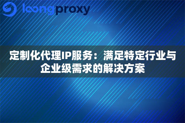定制化代理IP服务：满足特定行业与企业级需求的解决方案