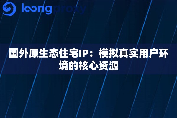 国外原生态住宅IP：模拟真实用户环境的核心资源