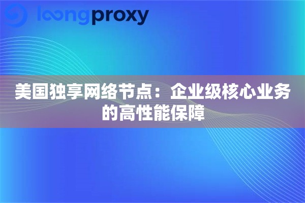 美国独享网络节点：企业级核心业务的高性能保障