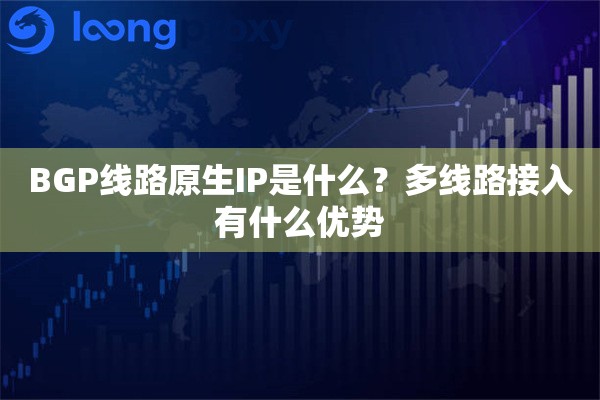 BGP线路原生IP是什么？多线路接入有什么优势