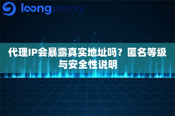 代理IP会暴露真实地址吗?匿名等级与安全性说明 代理IP会暴露真实地址吗?匿名等级与安全性说明
