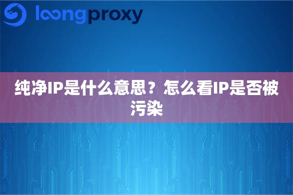 纯净IP是什么意思?怎么看IP是否被污染 纯净IP是什么意思?怎么看IP是否被污染
