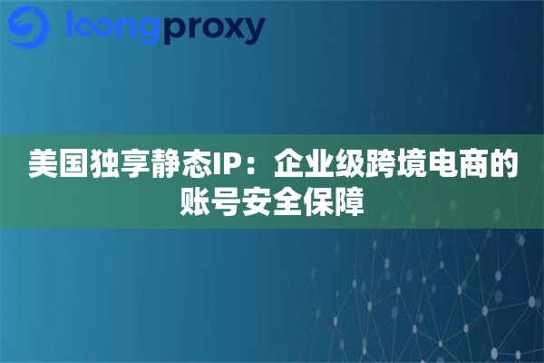 美国独享静态IP:企业级跨境电商的账号安全保障 美国独享静态IP:企业级跨境电商的账号安全保障