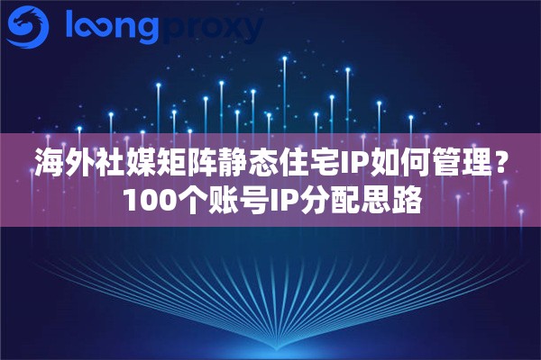 海外社媒矩阵静态住宅IP如何管理？100个账号IP分配思路