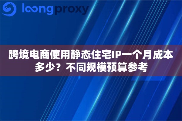 跨境电商使用静态住宅IP一个月成本多少？不同规模预算参考