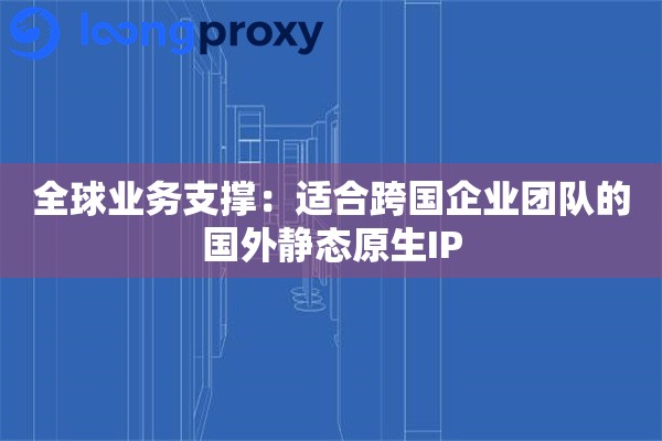 全球业务支撑：适合跨国企业团队的国外静态原生IP