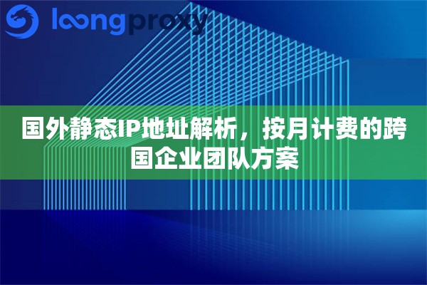 国外静态IP地址解析，按月计费的跨国企业团队方案
