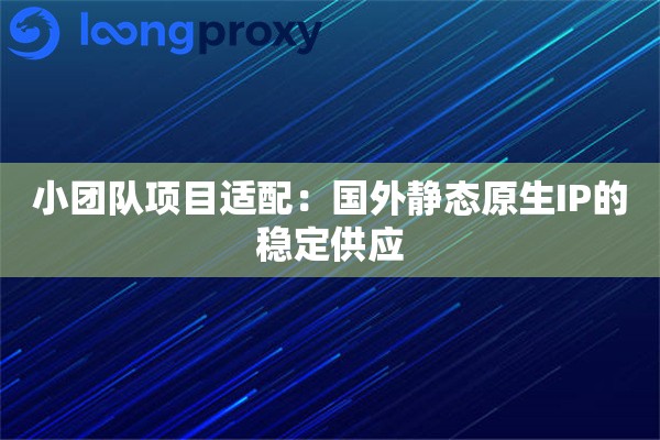 小团队项目适配：国外静态原生IP的稳定供应