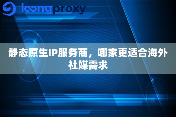 静态原生IP服务商，哪家更适合海外社媒需求