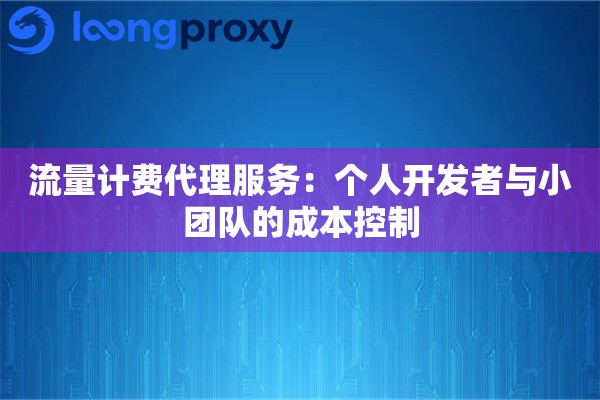 流量计费代理服务：个人开发者与小团队的成本控制