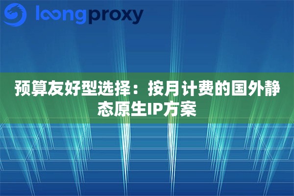 预算友好型选择：按月计费的国外静态原生IP方案