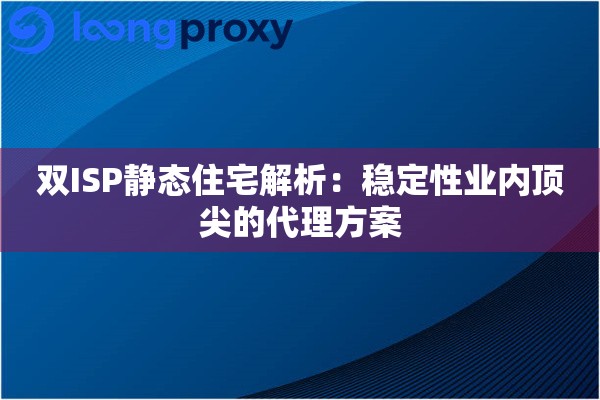 双ISP静态住宅解析：稳定性业内顶尖的代理方案