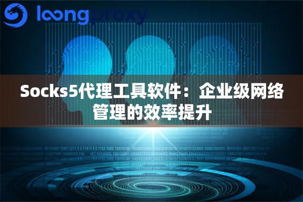 Socks5代理工具软件：企业级网络管理的效率提升