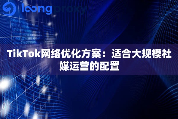 TikTok网络优化方案：适合大规模社媒运营的配置