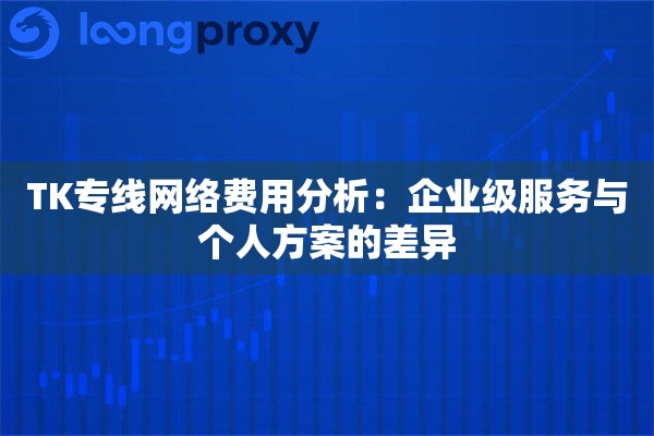 TK专线网络费用分析：企业级服务与个人方案的差异
