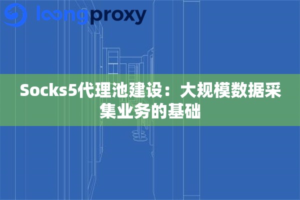 Socks5代理池建设：大规模数据采集业务的基础