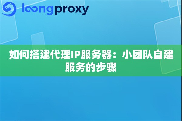 如何搭建代理IP服务器：小团队自建服务的步骤
