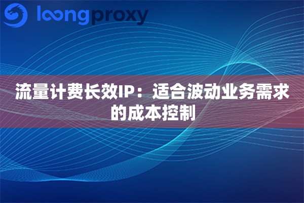 流量计费长效IP：适合波动业务需求的成本控制