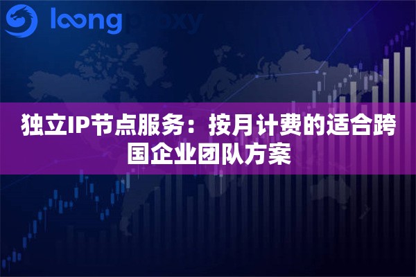 独立IP节点服务：按月计费的适合跨国企业团队方案