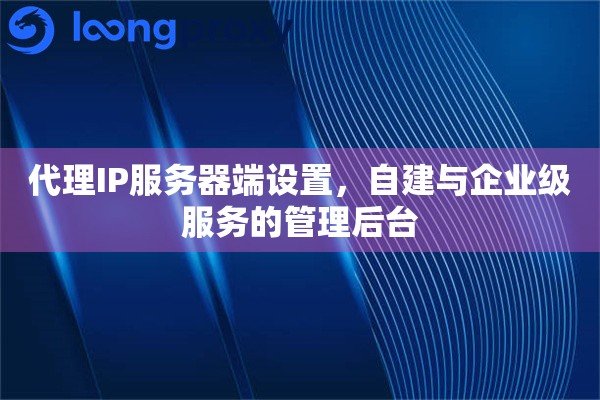 代理IP服务器端设置，自建与企业级服务的管理后台