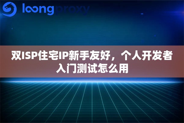 双ISP住宅IP新手友好,个人开发者入门测试怎么用 双ISP住宅IP新手友好,个人开发者入门测试怎么用
