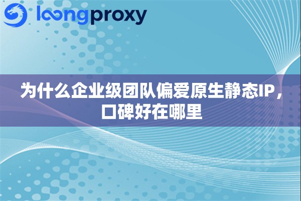 为什么企业级团队偏爱原生静态IP,口碑好在哪里 为什么企业级团队偏爱原生静态IP,口碑好在哪里