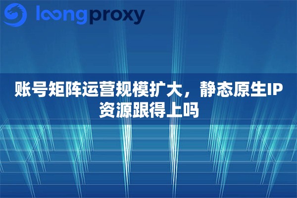 账号矩阵运营规模扩大，静态原生IP资源跟得上吗