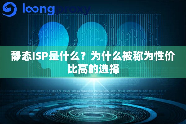 静态ISP是什么？为什么被称为性价比高的选择