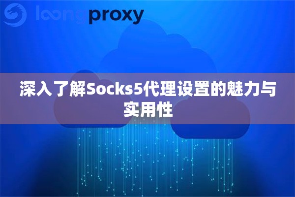 深入了解Socks5代理设置的魅力与实用性