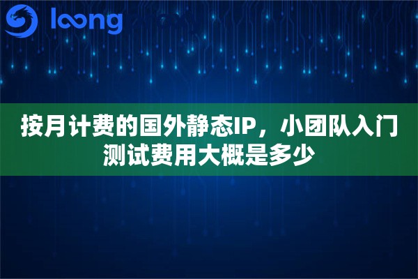 按月计费的国外静态IP，小团队入门测试费用大概是多少