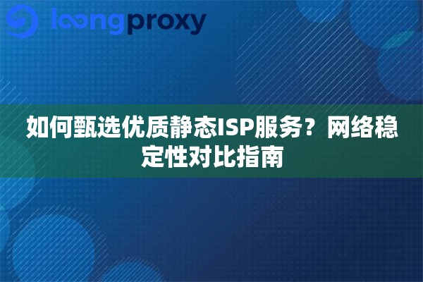 如何甄选优质静态ISP服务？网络稳定性对比指南
