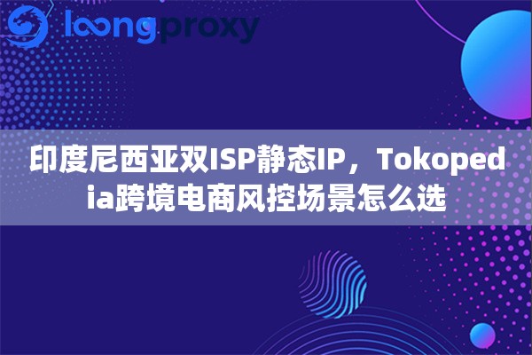 印度尼西亚双ISP静态IP，Tokopedia跨境电商风控场景怎么选