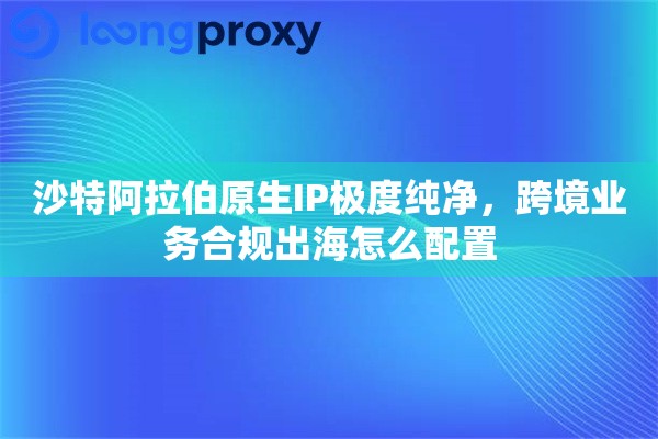 沙特阿拉伯原生IP极度纯净，跨境业务合规出海怎么配置