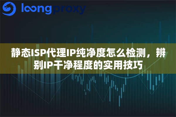 静态ISP代理IP纯净度怎么检测，辨别IP干净程度的实用技巧