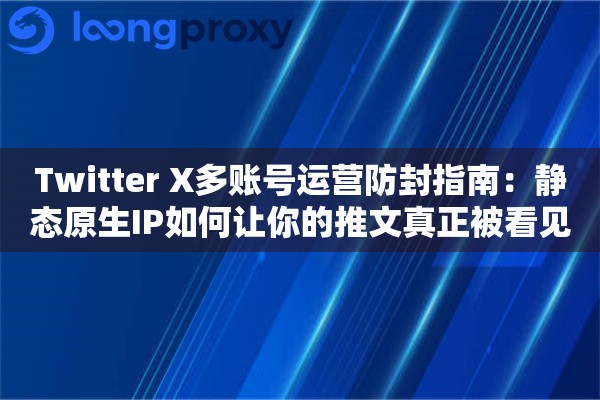 Twitter X多账号运营防封指南：静态原生IP如何让你的推文真正被看见