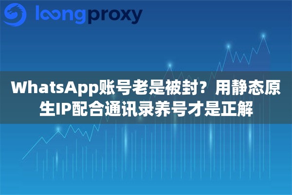 WhatsApp账号老是被封？用静态原生IP配合通讯录养号才是正解