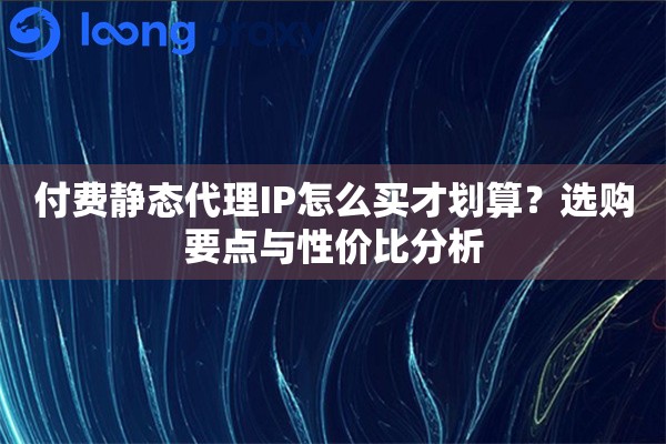 付费静态代理IP怎么买才划算？选购要点与性价比分析
