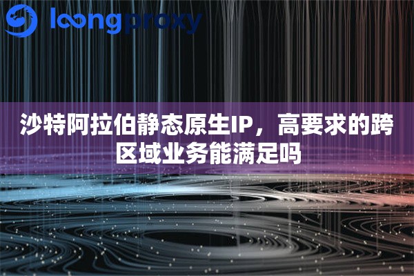 沙特阿拉伯静态原生IP，高要求的跨区域业务能满足吗