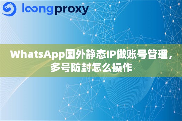 WhatsApp国外静态IP做账号管理，多号防封怎么操作