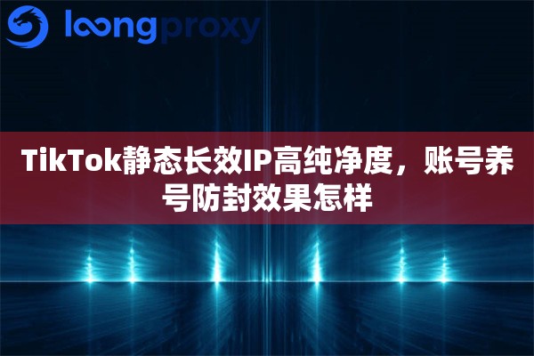 TikTok静态长效IP高纯净度，账号养号防封效果怎样