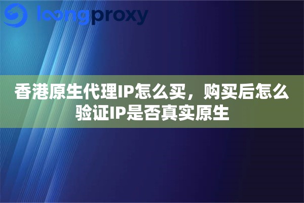 香港原生代理IP怎么买，购买后怎么验证IP是否真实原生