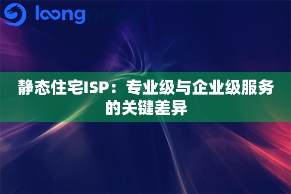 静态住宅ISP：专业级与企业级服务的关键差异