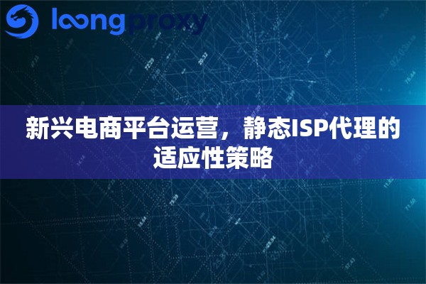 新兴电商平台运营，静态ISP代理的适应性策略